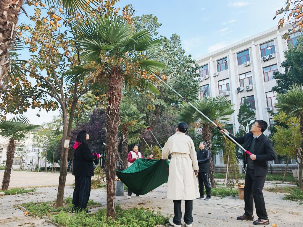 百家乐官网